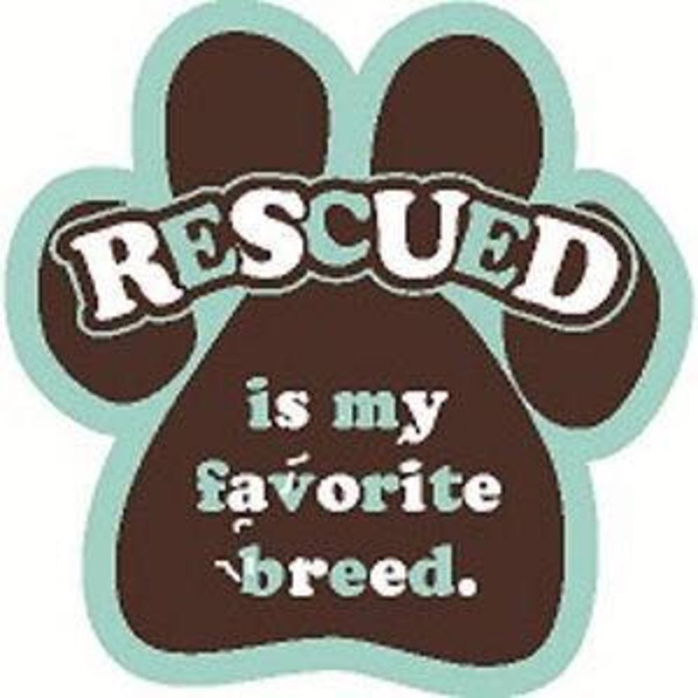 Meet your Posher, Janelle